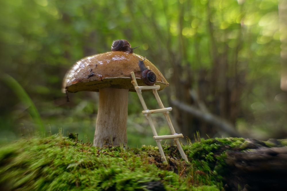 Фотография автора Сизов Кирилл