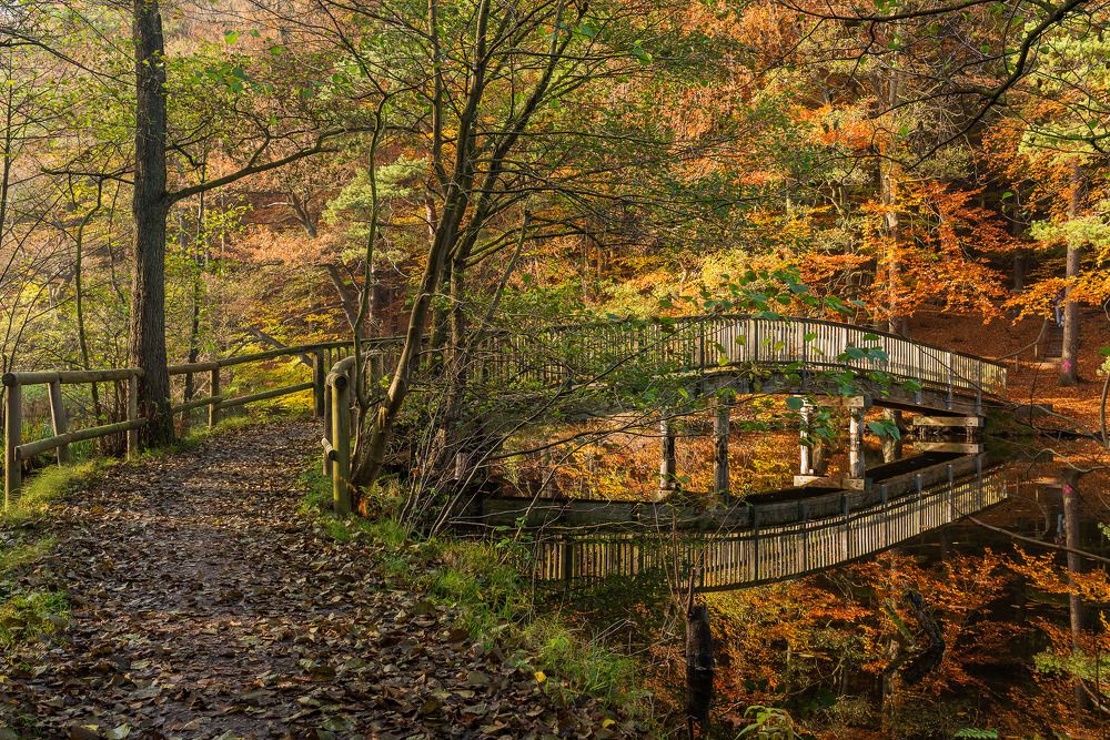 Photograph by Дмитрий Кравцов