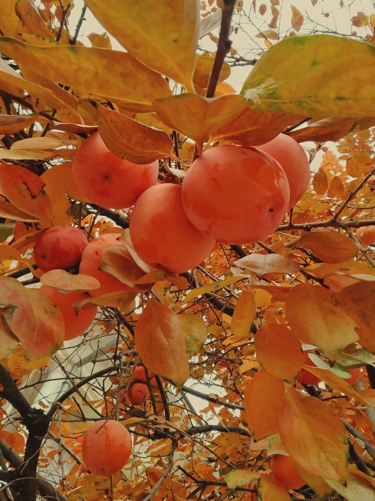 Photograph by Anastasiya Danilova