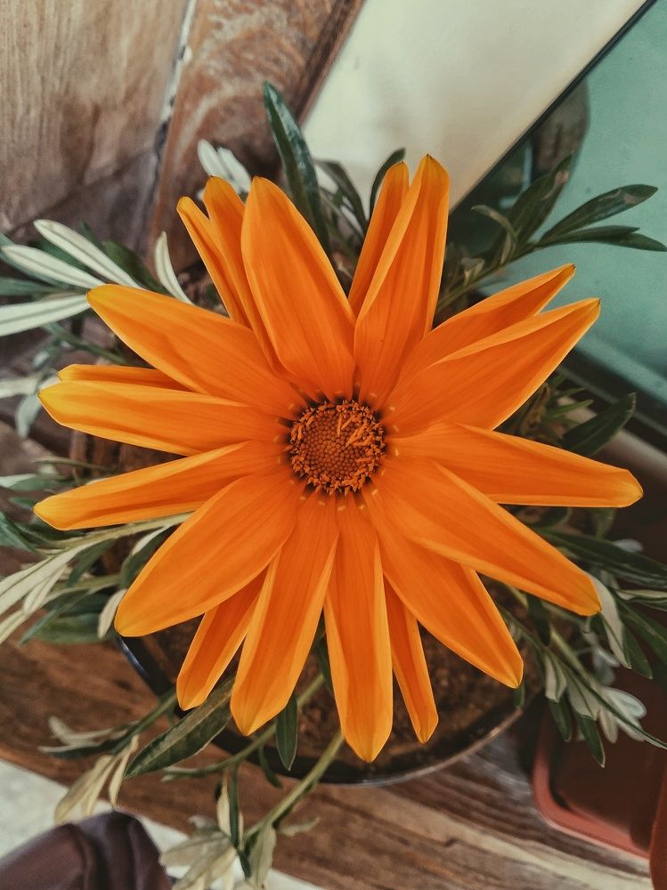 Photograph by Anastasiya Danilova