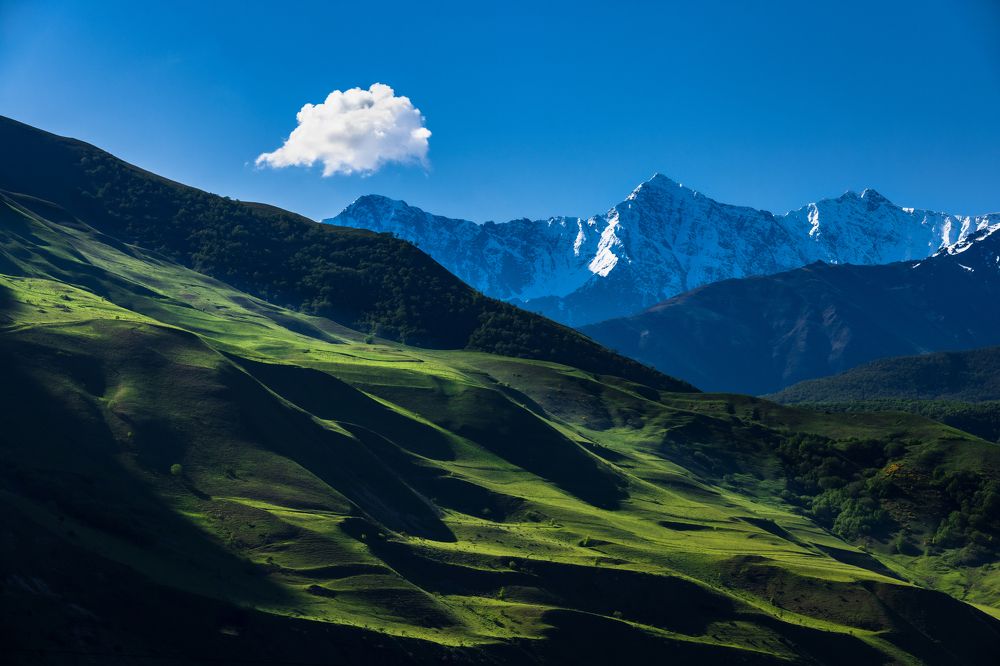 Photograph by Александр Кузнецов