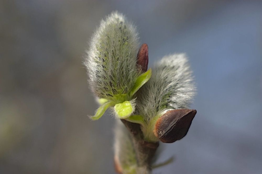 Photograph by Евгений Беленков