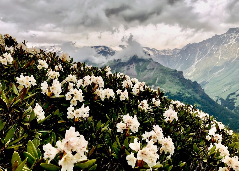 Фотография автора Leonid Golubkov