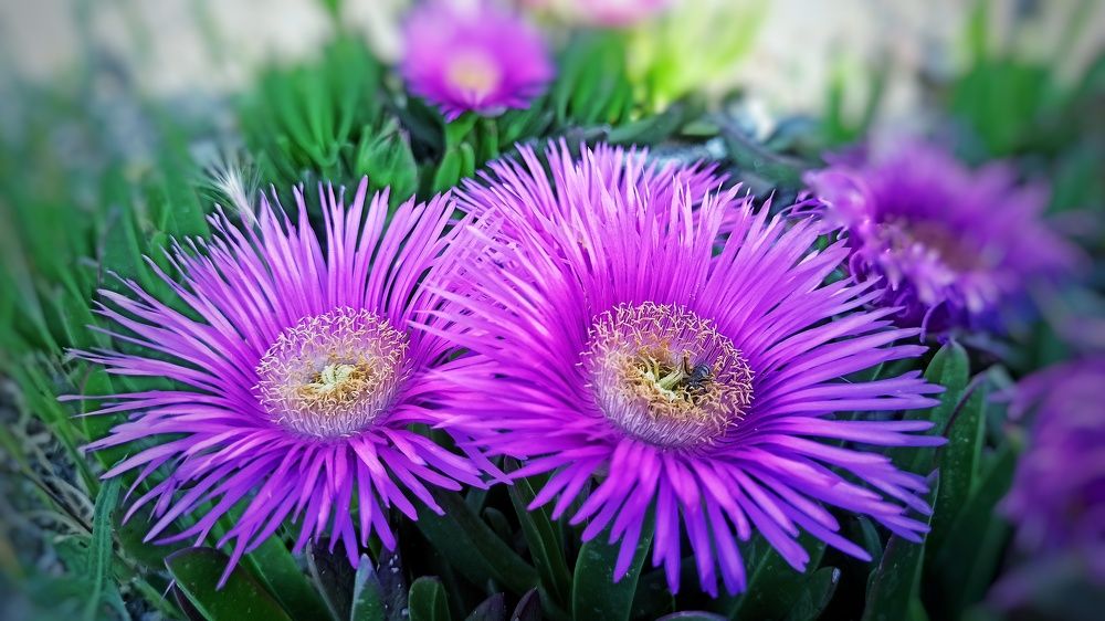 Photograph by Sodabe Arabzade