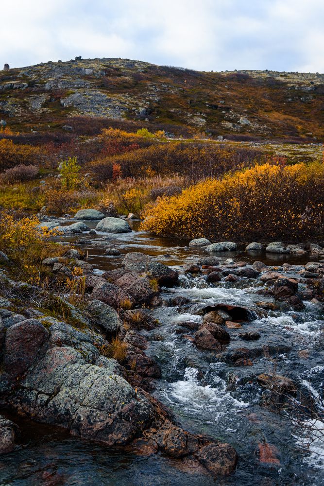 Photograph by Антон Бойков