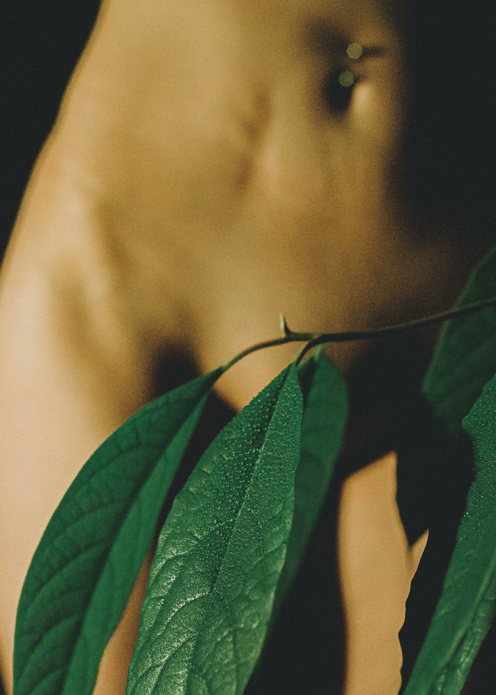 Photograph by Александр Фокин