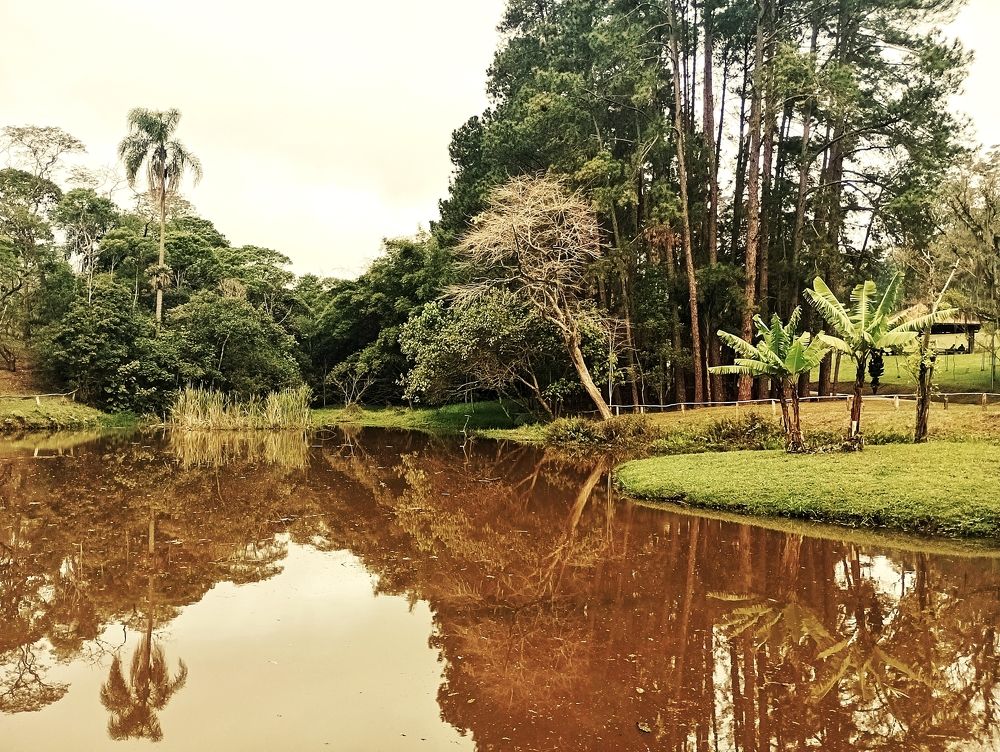 Photograph by Leandro Vinícius Ribeiro