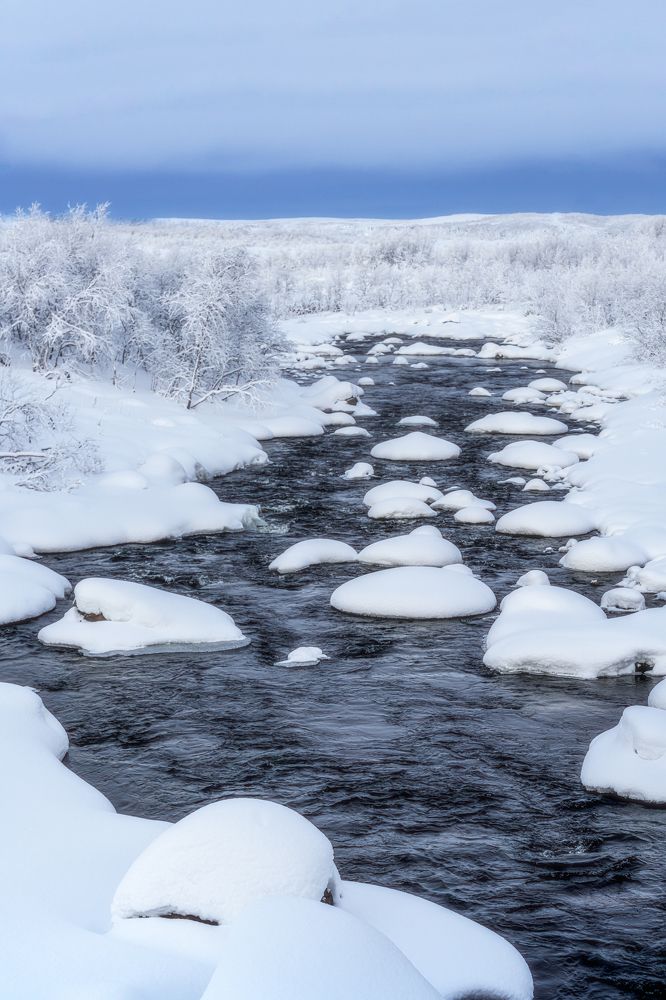 Photograph by Полякова Наталия