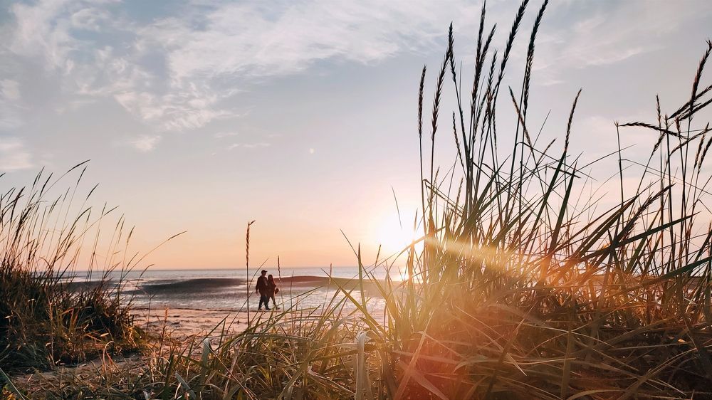 Photograph by Илья Шевелев