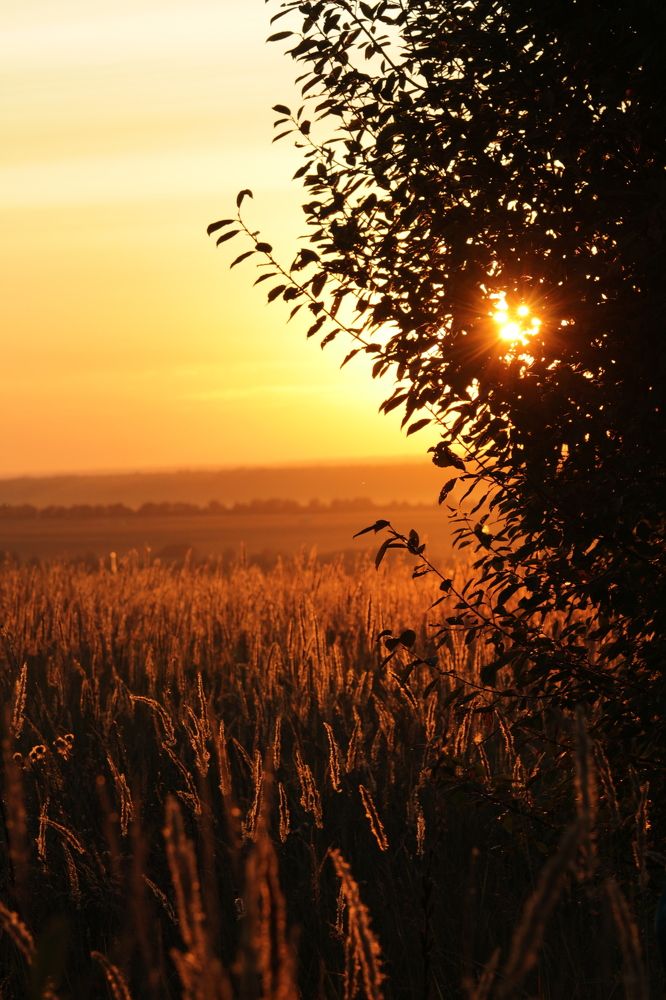 Photograph by Татьяна Штунь