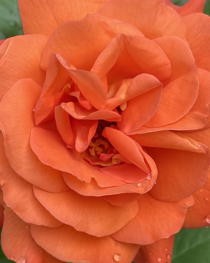 Photograph by Татьяна