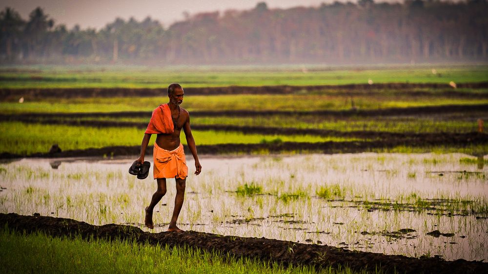 Photograph by binoy james