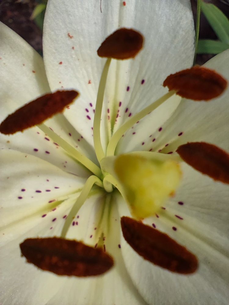 Photograph by Виктория