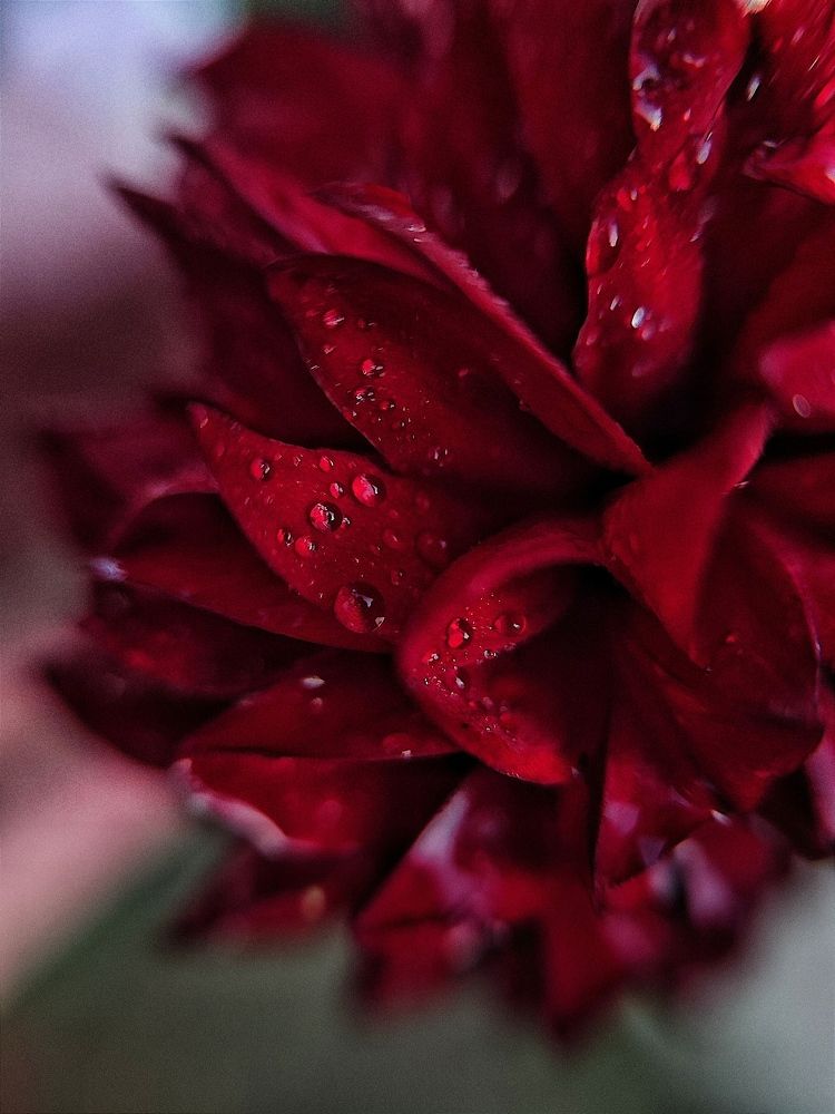 Photograph by Виктория