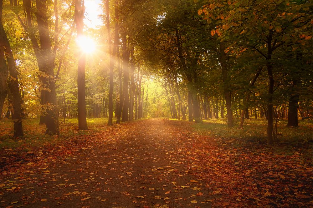 Photograph by PYATNITSKIY ANDREY