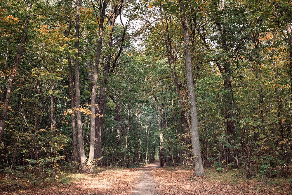 Photograph by Татьяна Белевцова