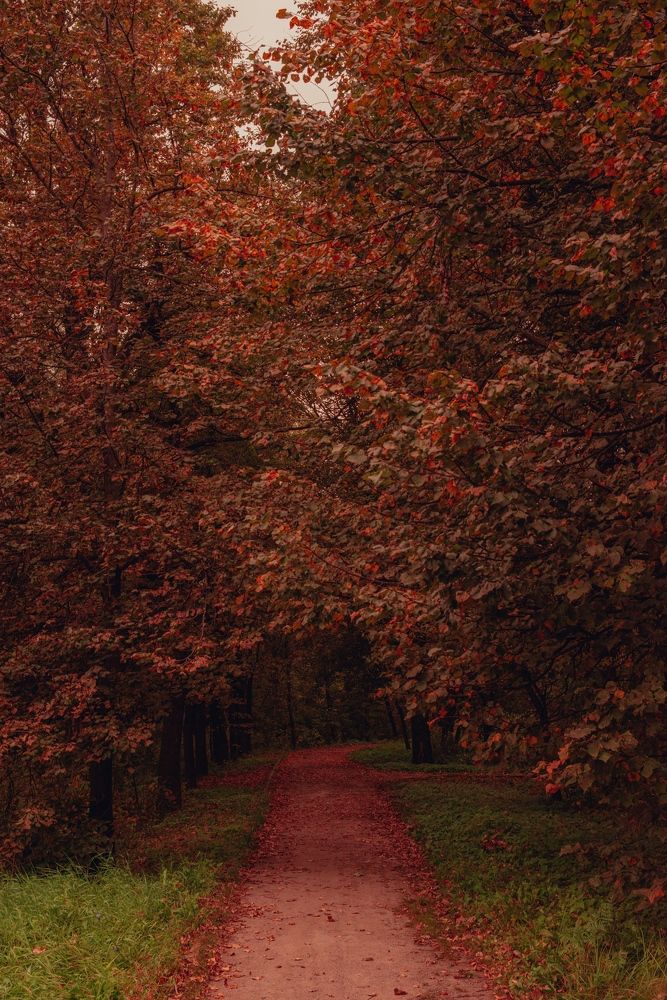 Photograph by Dmitriy Vargaz