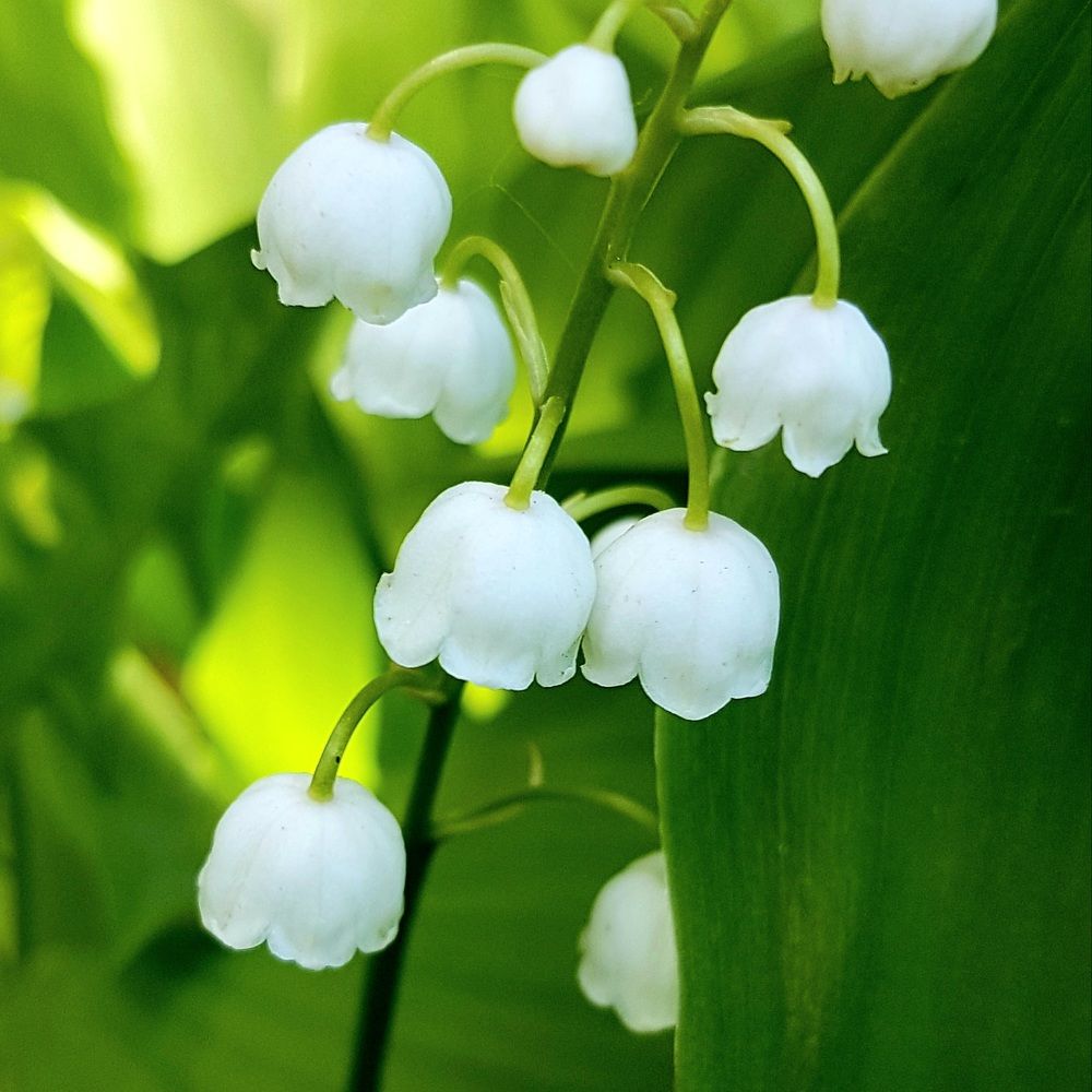 Photograph by Марина Козлова