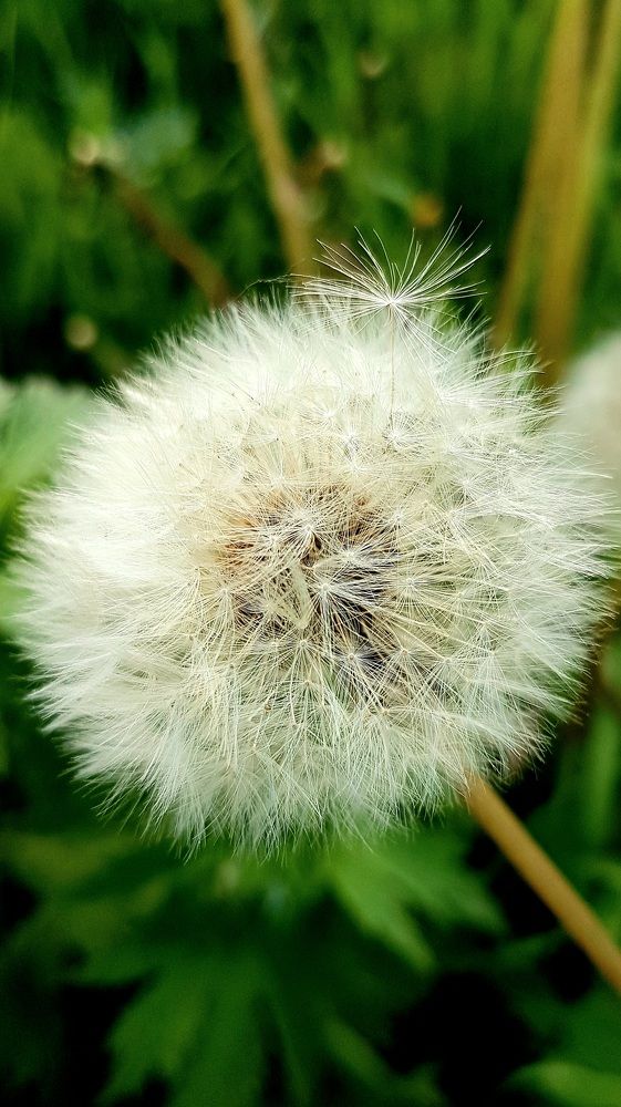 Photograph by Марина Козлова