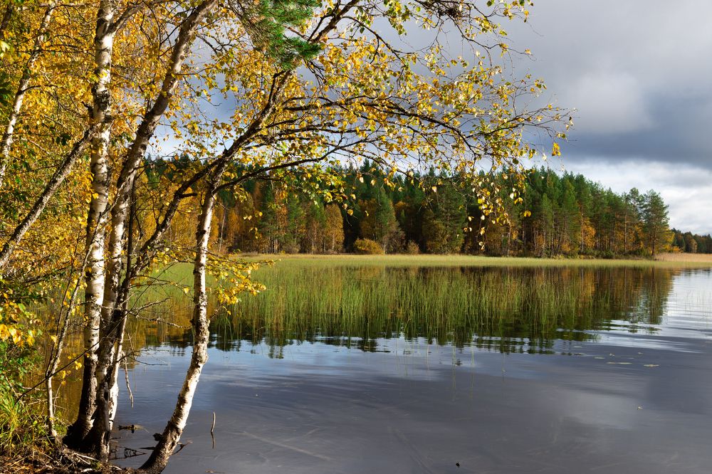 Photograph by Николай