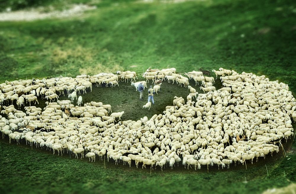 Photograph by Natalia Bolotenkova