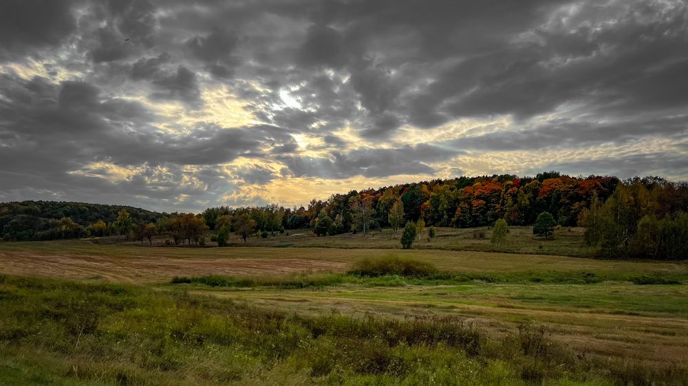 Photograph by Мария Сазонова