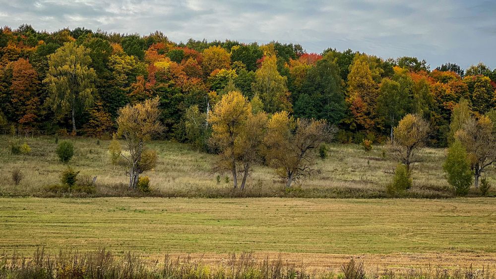 Photograph by Мария Сазонова