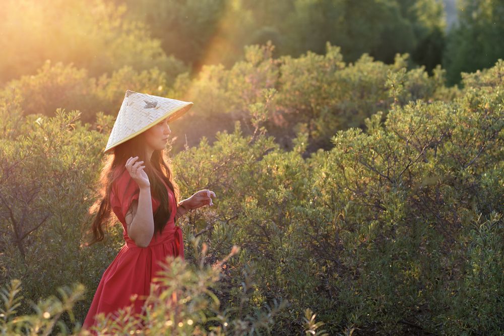 Photograph by 
