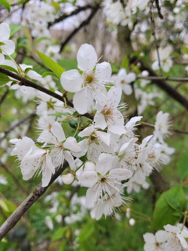 Photograph by Rahele Almassi