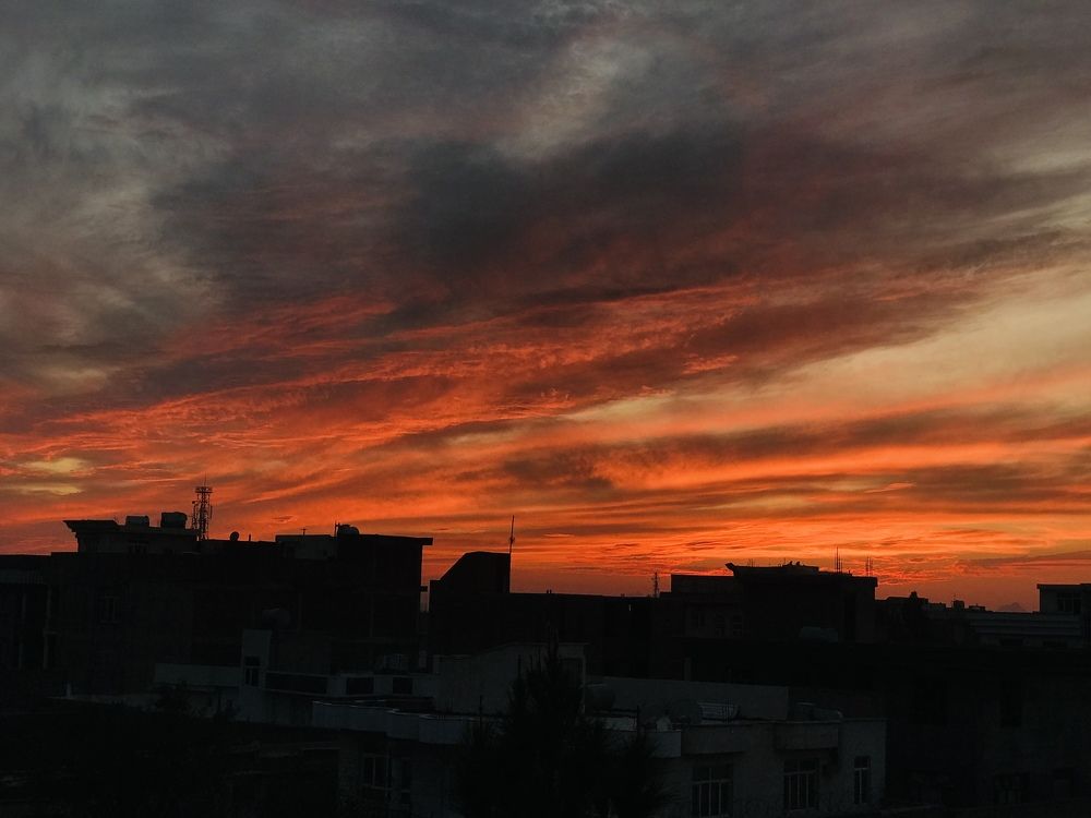 Photograph by Maedeh Sharifi