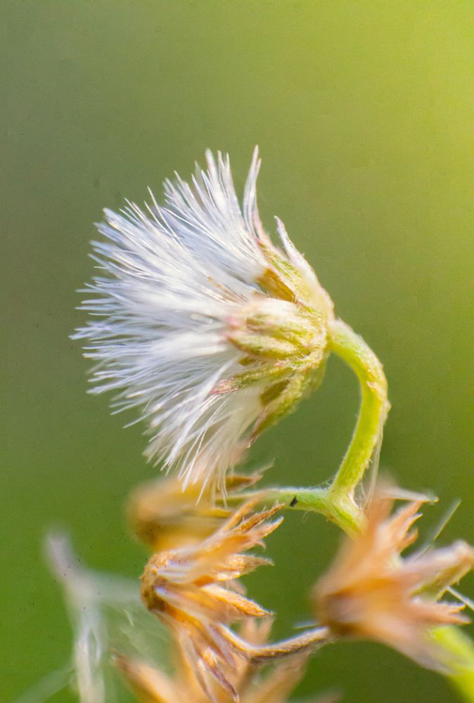 Photograph by Dewindu H. Fernando