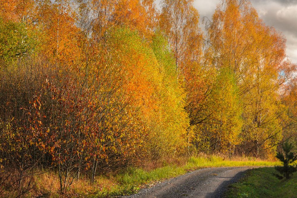 Photograph by  Kerry Moore