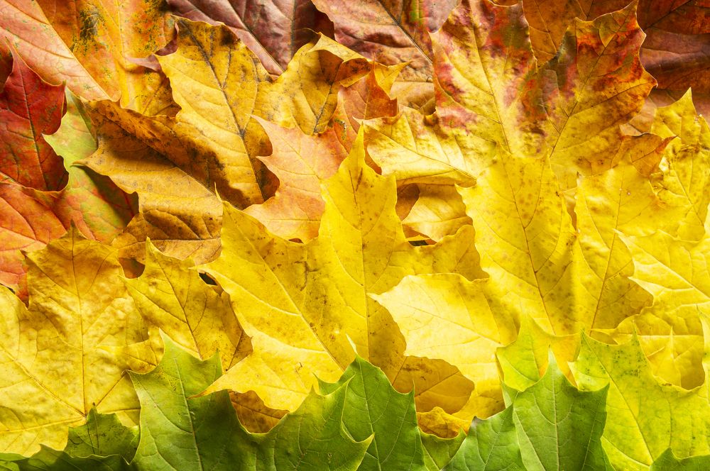 Photograph by Павел Минкевич