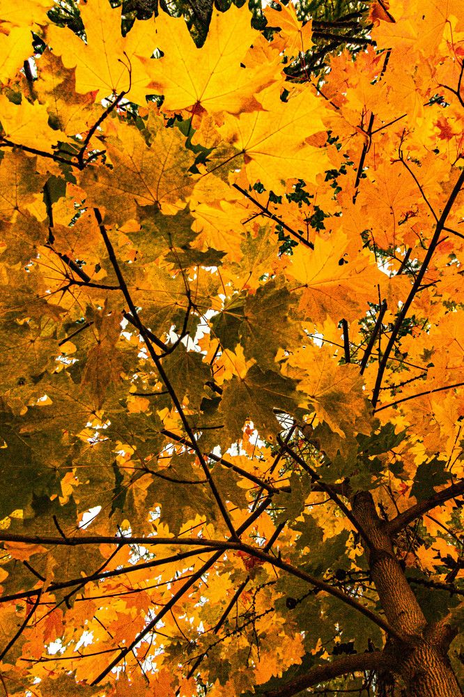 Photograph by Михаил Костыря