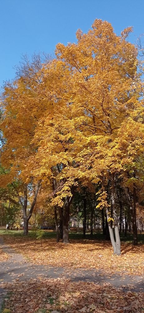 Photograph by Лара