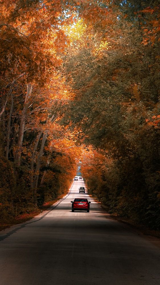 Photograph by Fotios Stamanikis