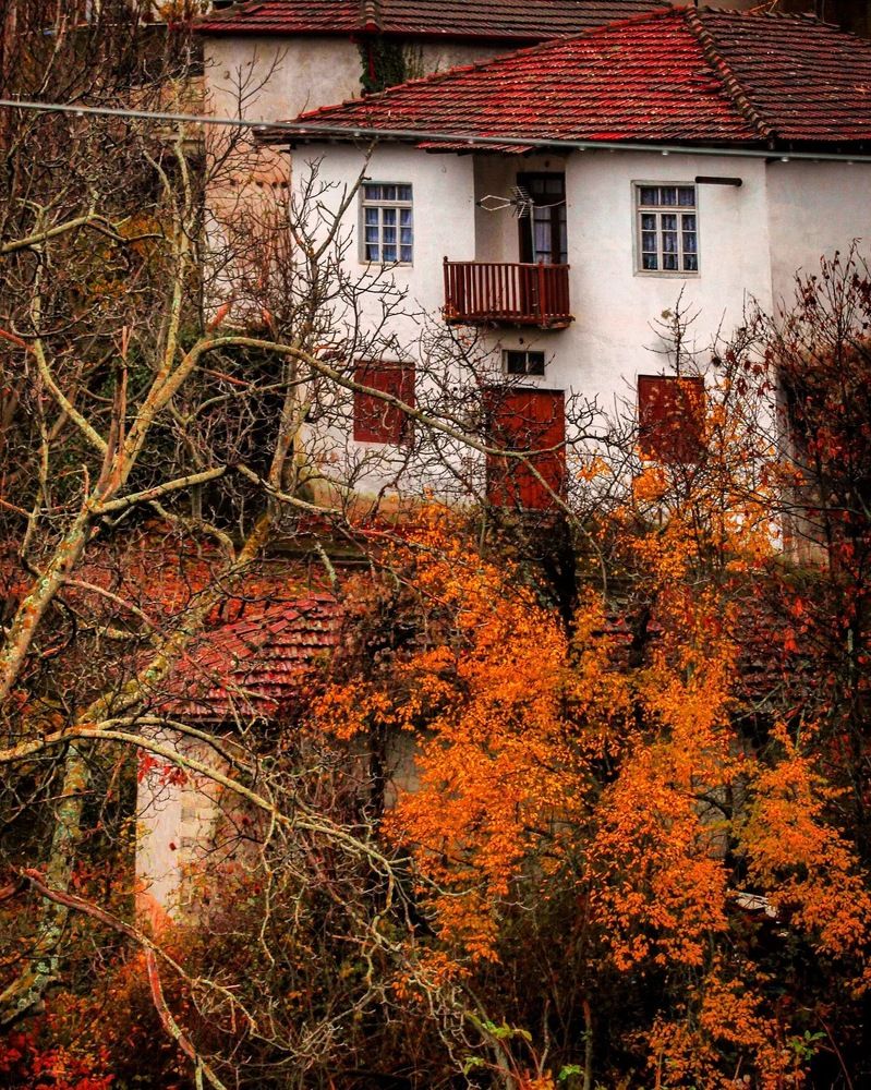 Photograph by Fotios Stamanikis