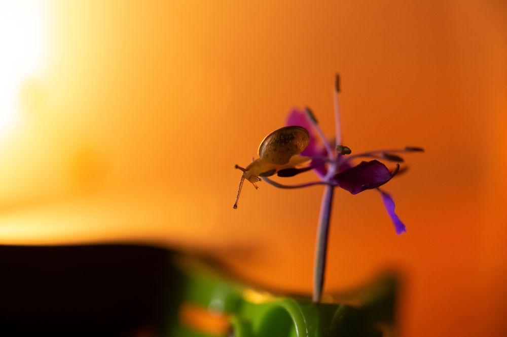 Photograph by Любовь Нова