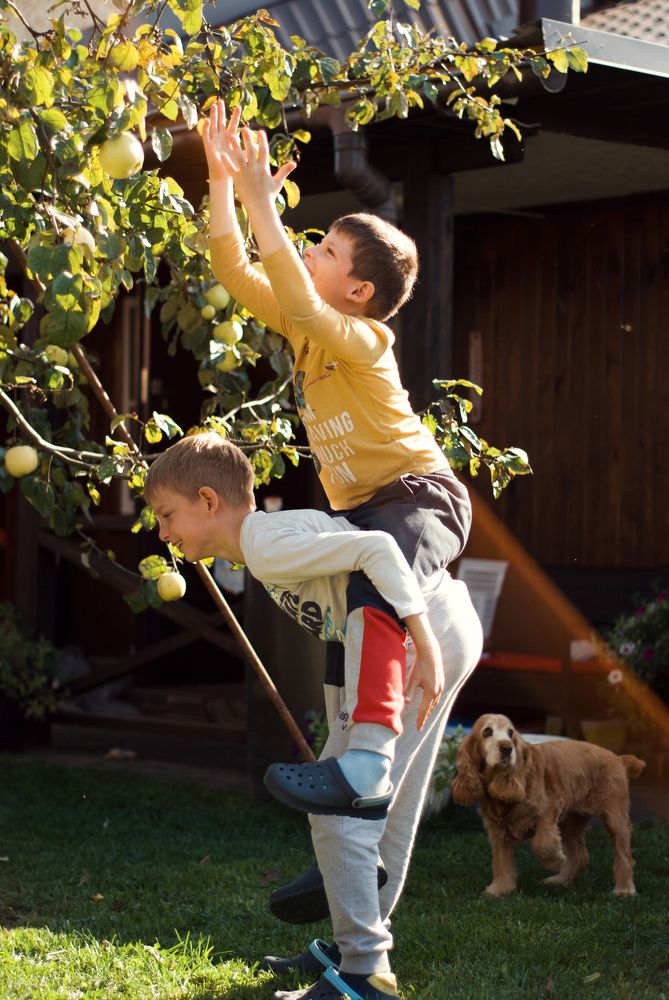 Photograph by Екатерина Савостикова