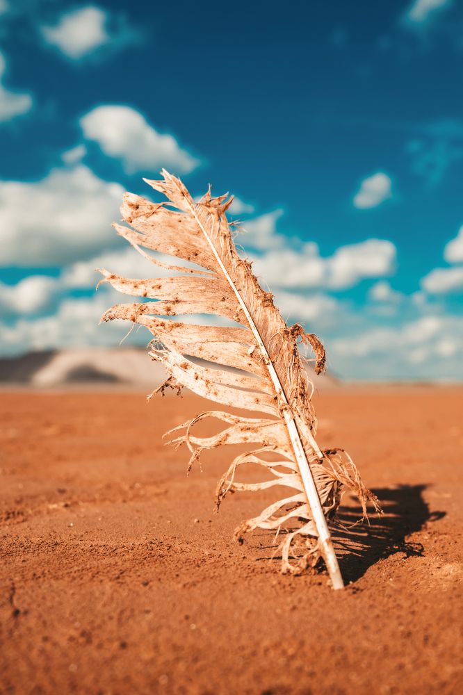 Фотография автора Татьяна Грунтович