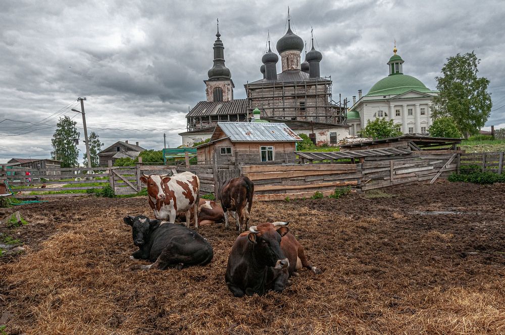 Photograph by Vladimir  Komarov