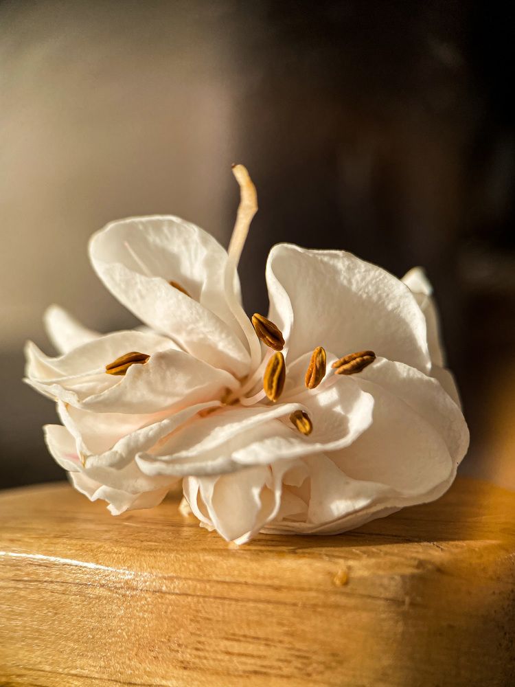 Photograph by Александра Гонтарь