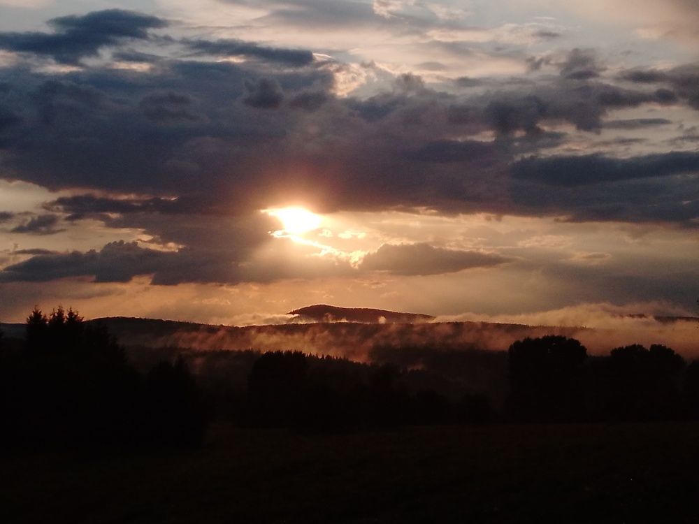 Photo #9581519