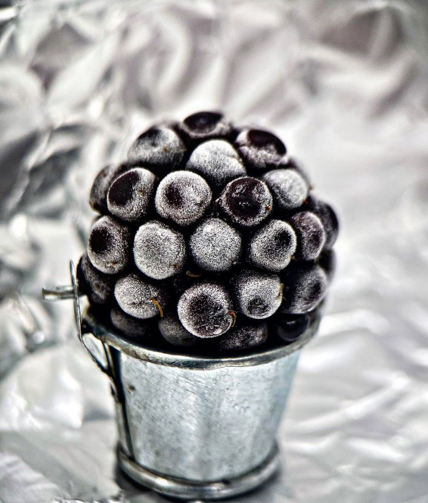 Photograph by Александра Гонтарь