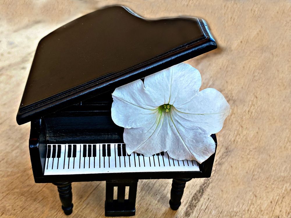 Photograph by Александра Гонтарь