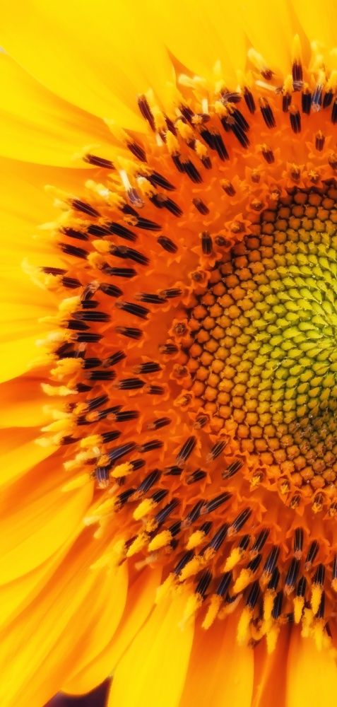 Photograph by Hamid Espanani