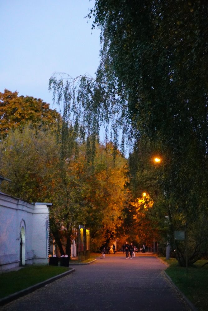 Photograph by Анна Лернер