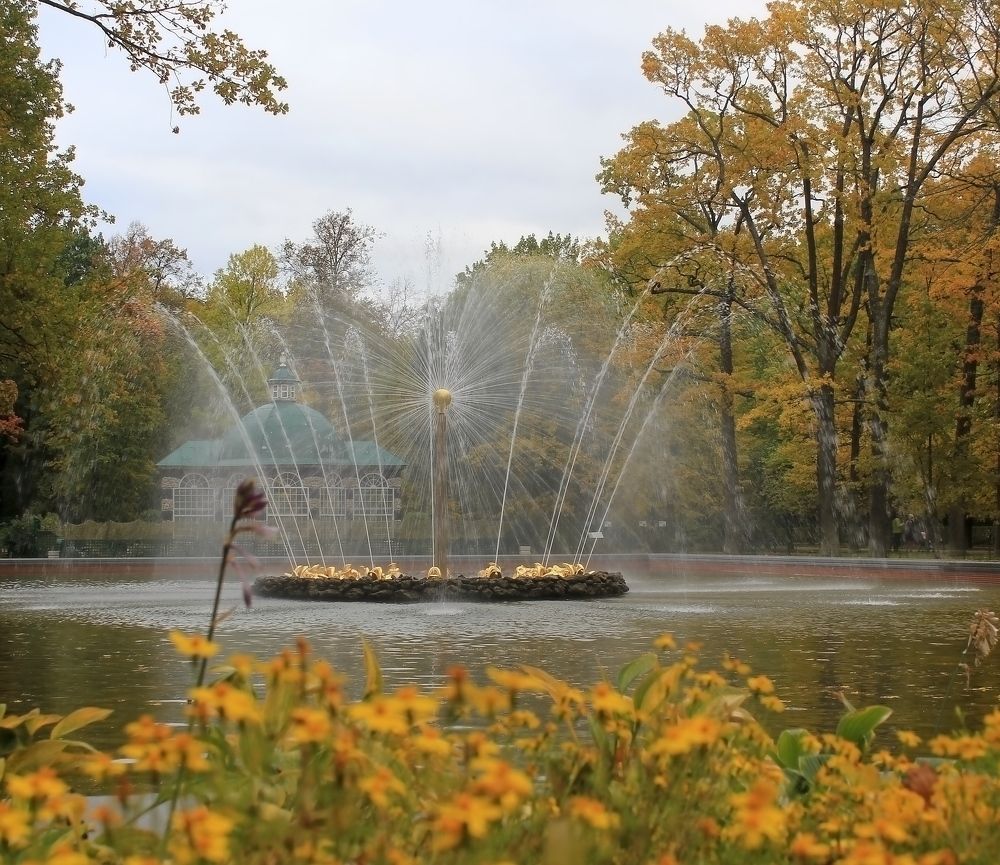 Photograph by Olga Bagaeva