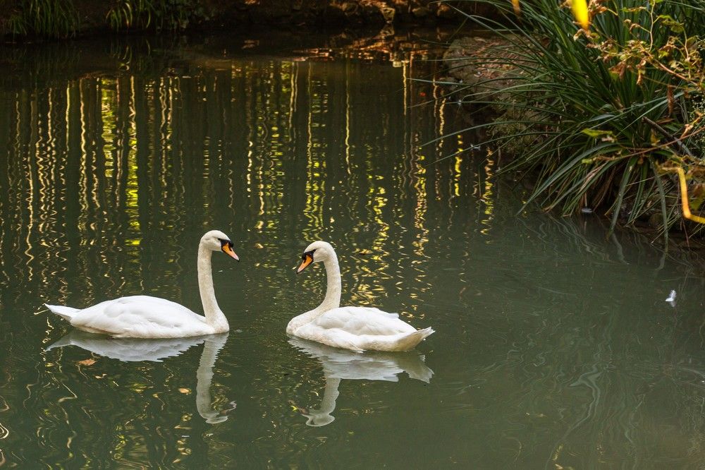 Photograph by Александр Литвинов