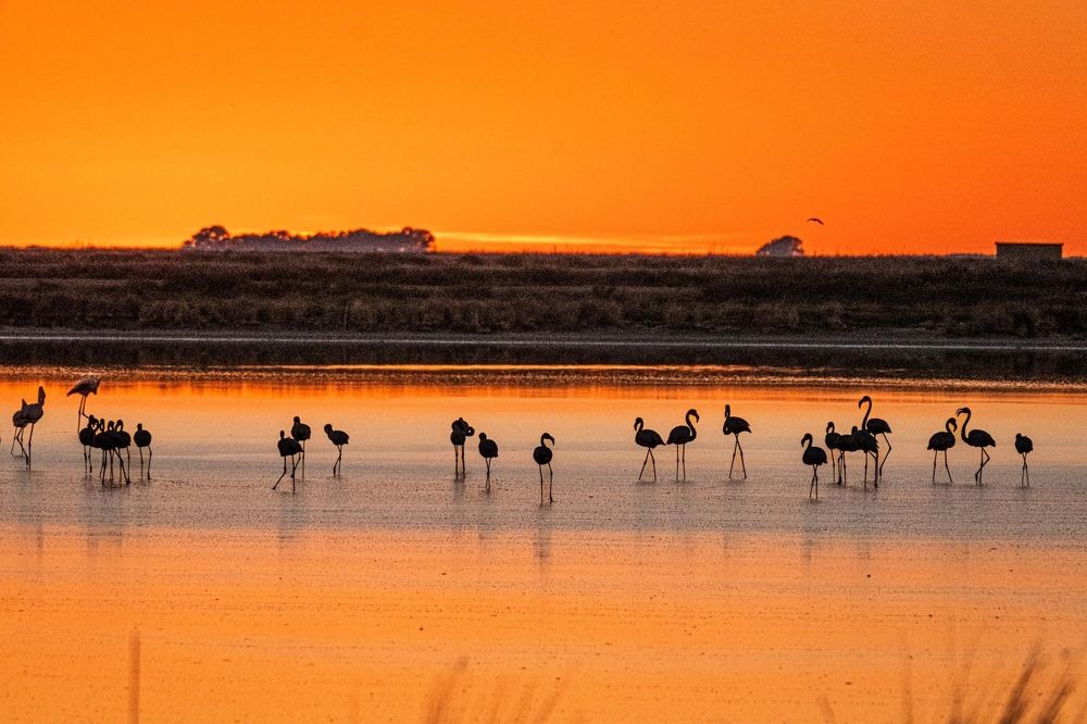 Photograph by Amelia Pardo